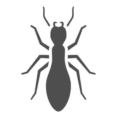 termite treatments from C2C pest control and environmental services