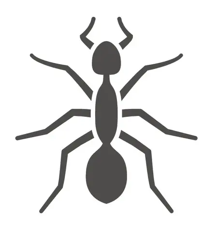 ants are treated by c2c pest control
