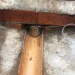 rat flat in drains and gullies c2c pest control