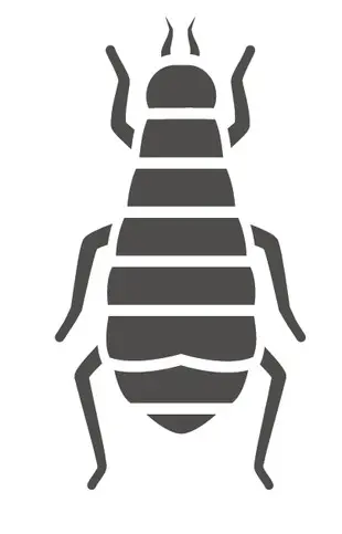 flea treatments from c2c pest control