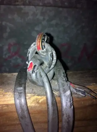 Rat Infestation in Hyde-Tameside