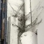 False Widow Spider