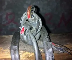 Rat Infestation in Hyde-Tameside
