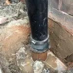 Oldham Pest Control