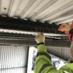 Bird Control Service