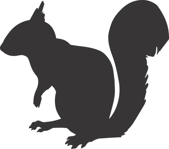 C2C Squirrel Control