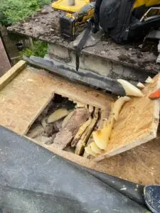 Honey Bee Removal North West